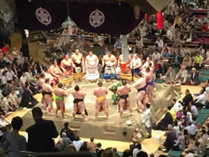 Sumo
